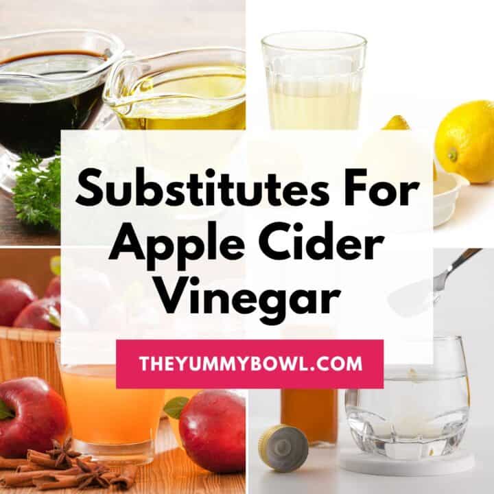 alternatives for apple cider vinegar.