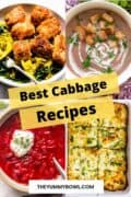 different cabbage recipes collage image