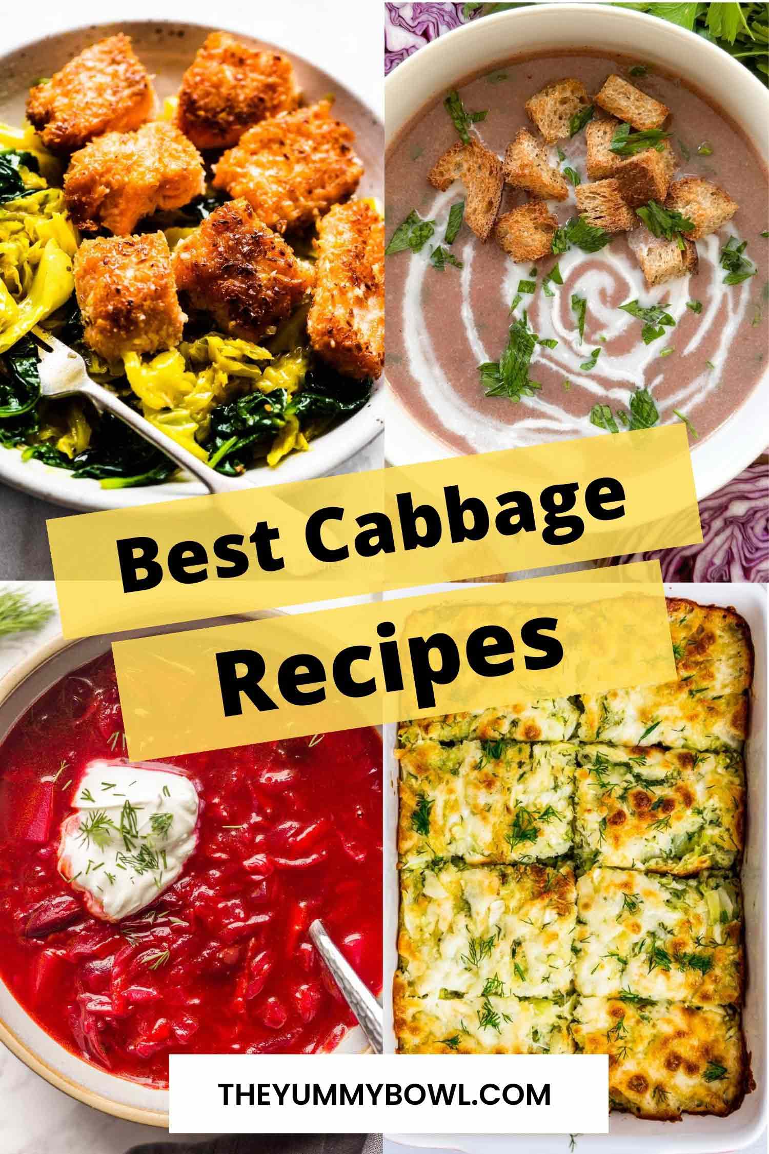 Best Cabbage Recipes Roundup - The Yummy Bowl