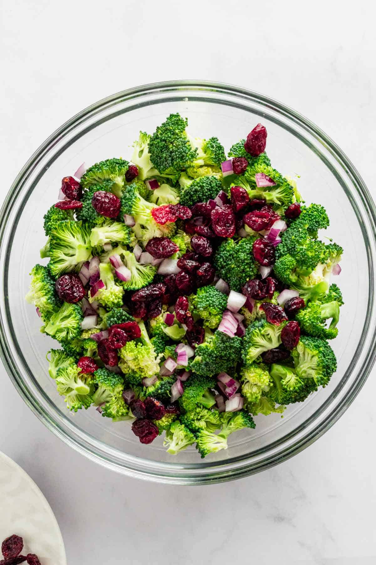 broccoli, cranberries and red onion in bowl.