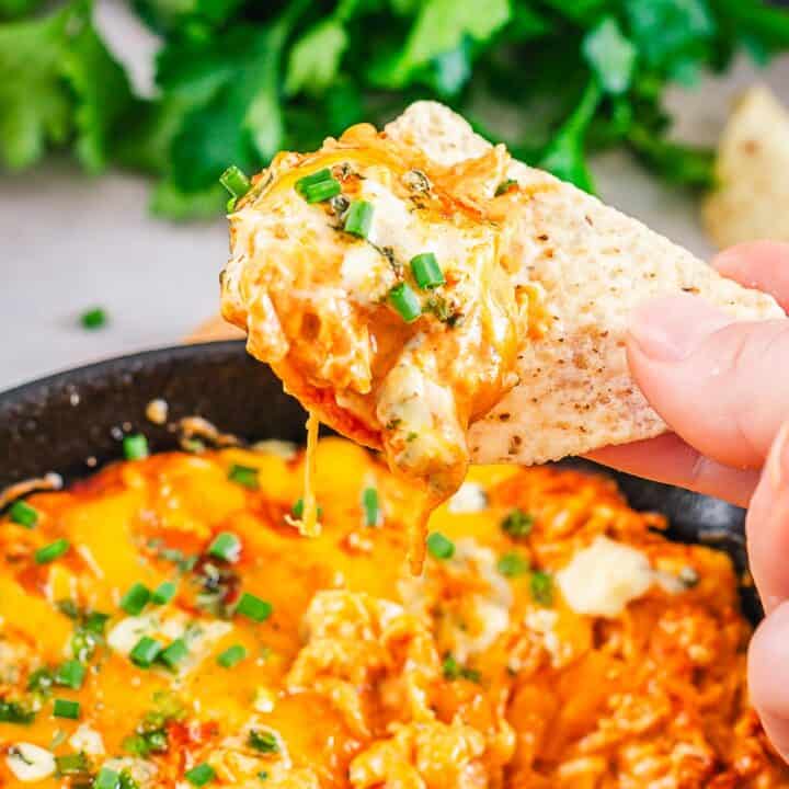 buffalo chicken dip on a tortilla chip in hand