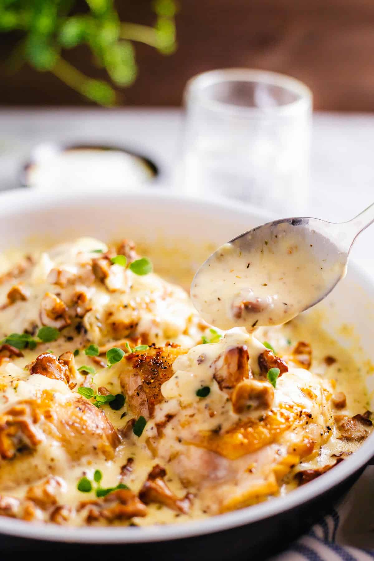 Chicken Thighs With Chanterelle Mushroom Sauce