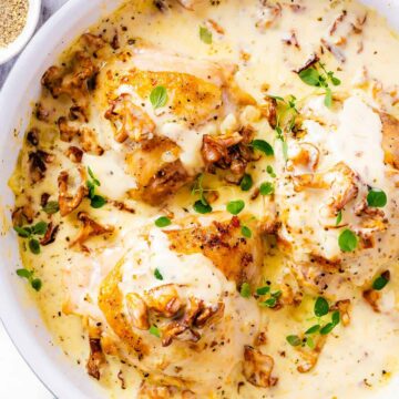 top down shot of a white skillet with chicken thighs in creamy mushroom sauce