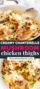 Chicken Thighs With Chanterelle Mushroom Sauce pin image