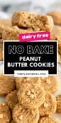 dairy free no bake peanut butter cookies