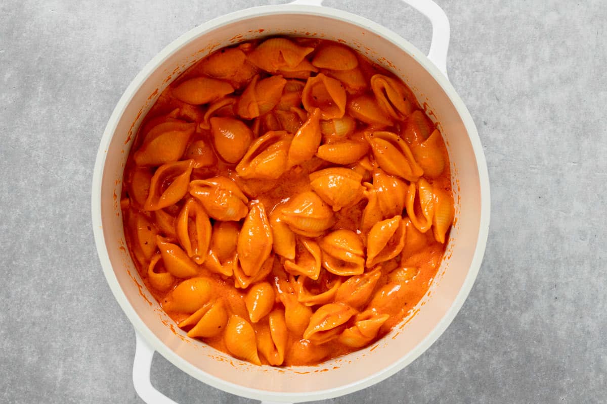 sea shell pasta in a pot