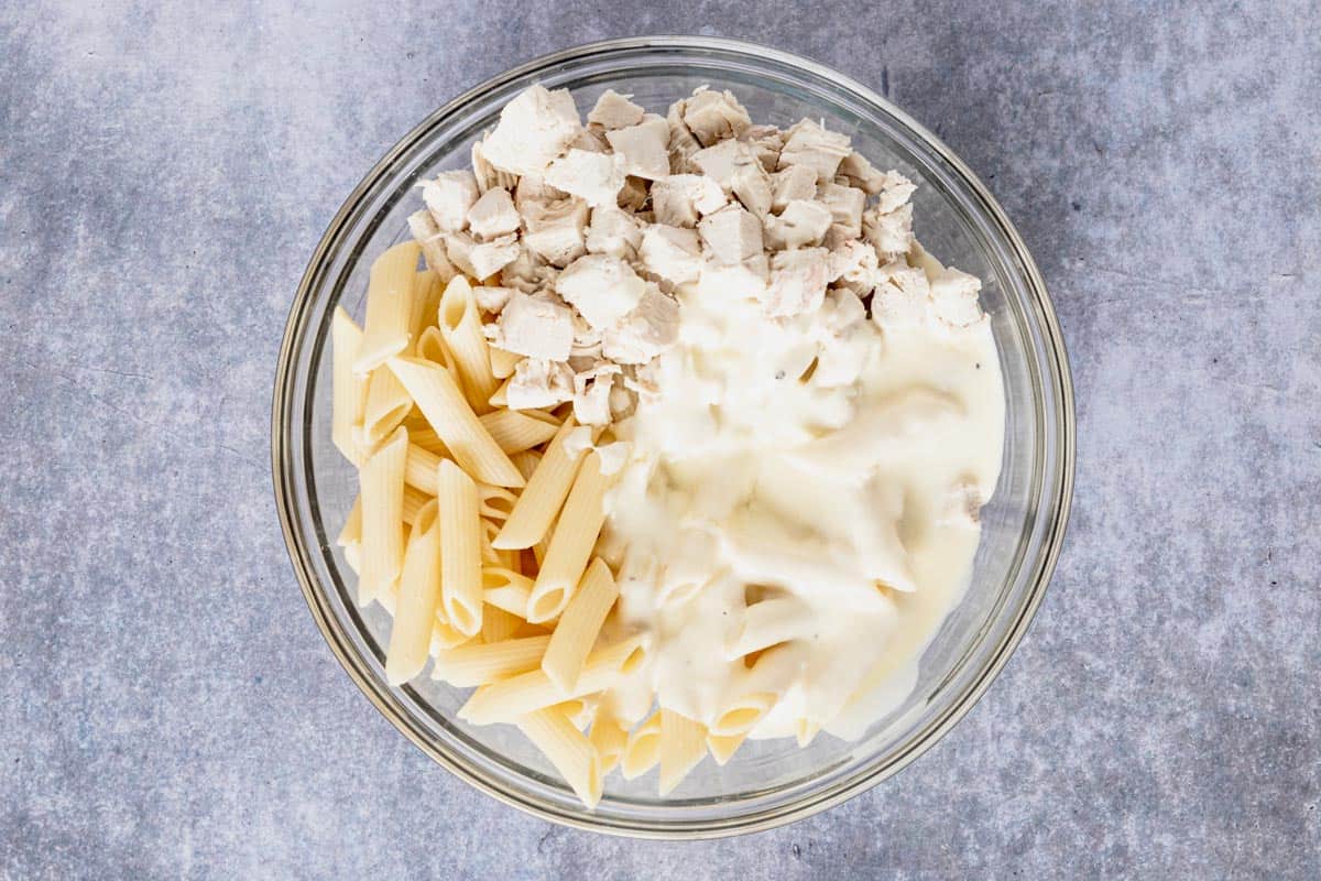 chicken pasta and alfredo sauce in a bowl