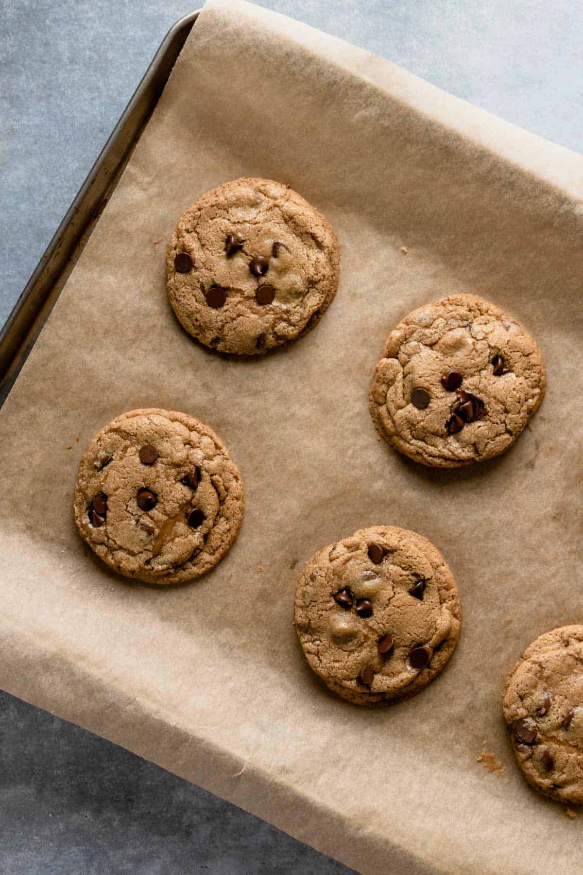 gluten free chocolate chip cookies on baking sheet right after baking