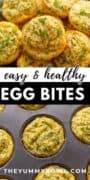 healthy breakfast egg muffins.