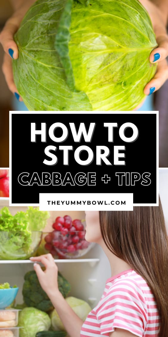 how to start cabbage so it last for long.