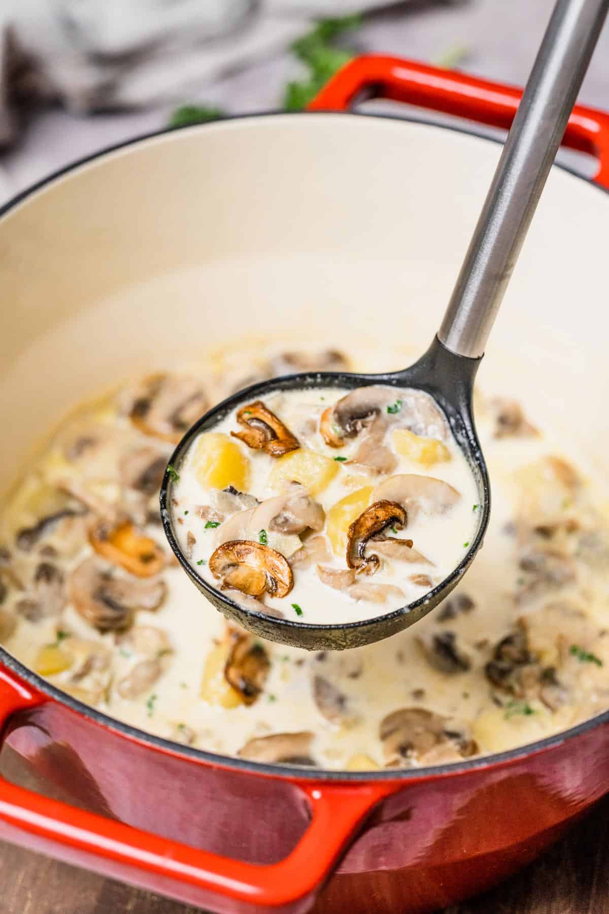 creamy potato mushroom soup in soup ladle
