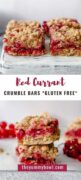 Red Currant Crumble Bars pin