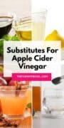 apple cider vinegar substitutes.