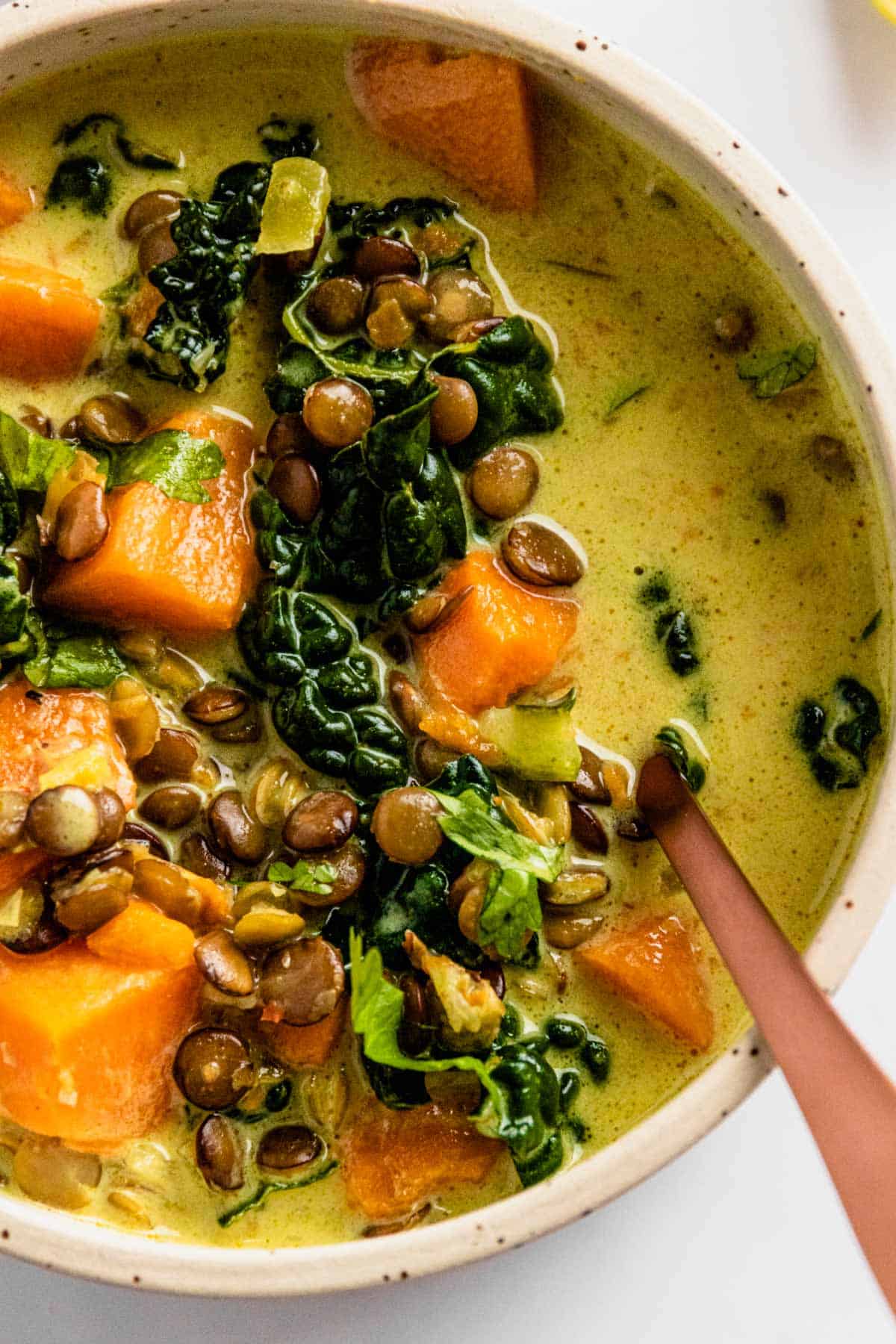 https://theyummybowl.com/vegan-sweet-potato-coconut-lentil-stew/