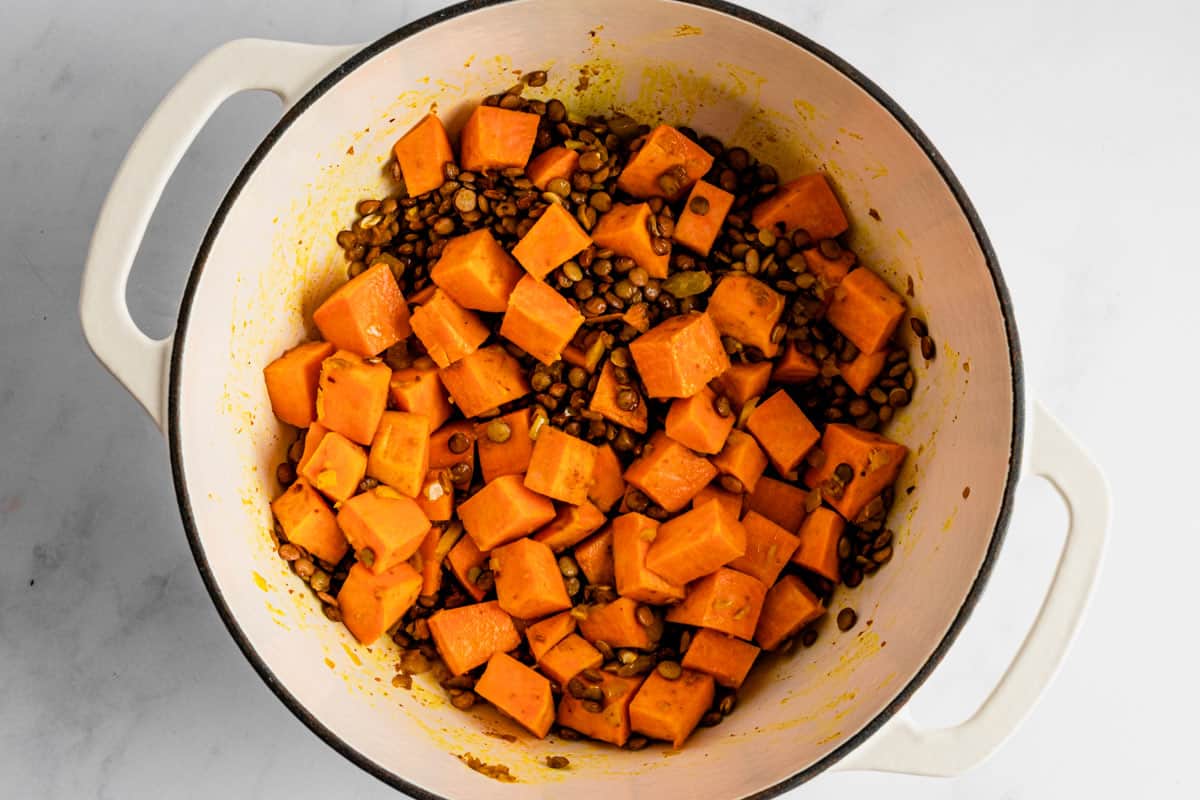 Vegan Sweet Potato Coconut Lentil Stew