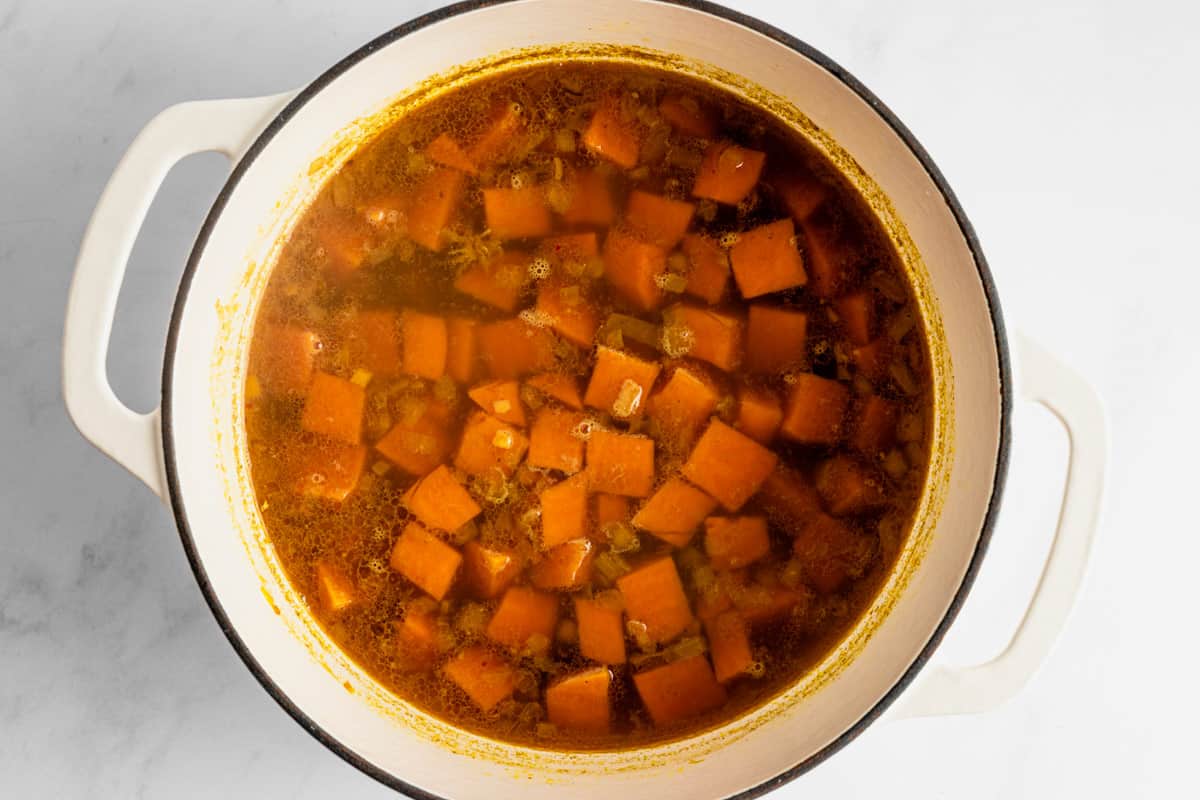 Vegan Sweet Potato Coconut Lentil Stew