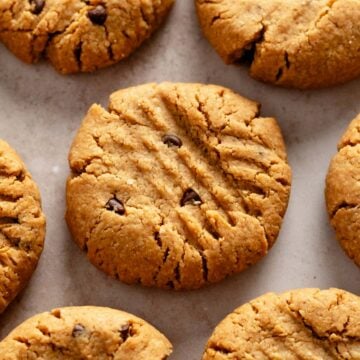 several peanut butter chocolate chip cookies.